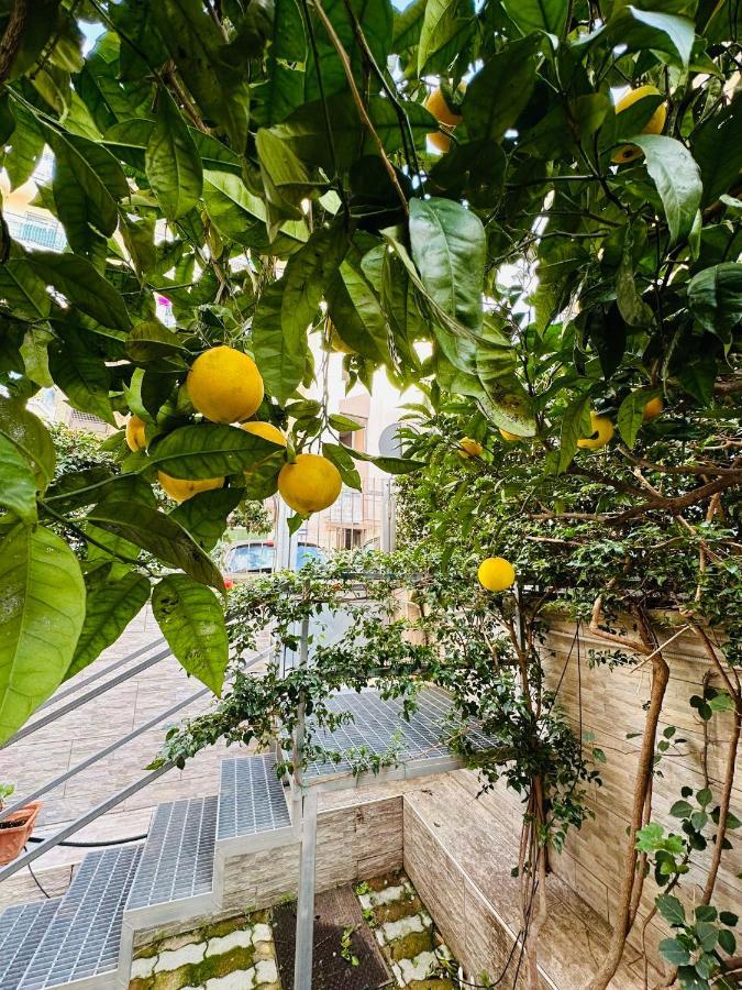 Ferdirisa Vesuvio Home&Garden San Giorgio a Cremano Exterior photo